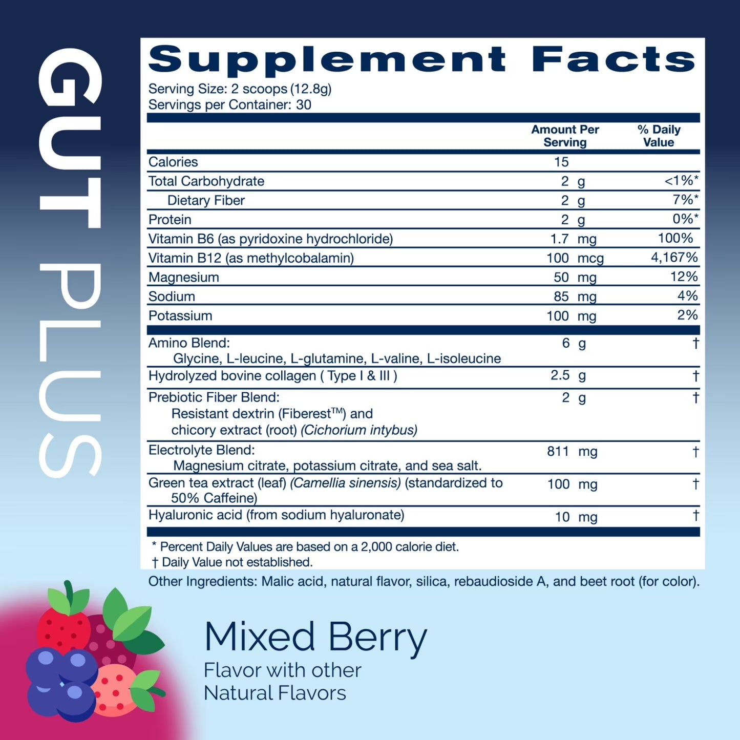 AMOURA Daily Hydration & Recovery Powder – Mixed Berry