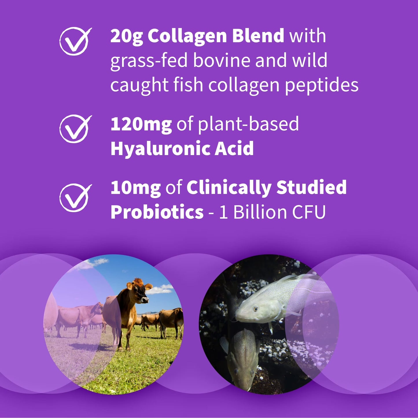 AMOURA Marine + Grass-Fed Collagen Beauty Blend | Hyaluronic Acid Formula